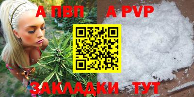 ECSTASY Новозыбков