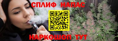 ECSTASY Новозыбков
