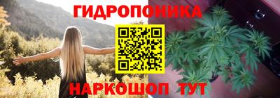 ECSTASY Новозыбков