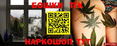 ECSTASY Новозыбков