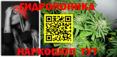 ECSTASY Новозыбков
