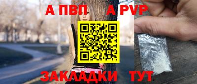 ECSTASY Новозыбков