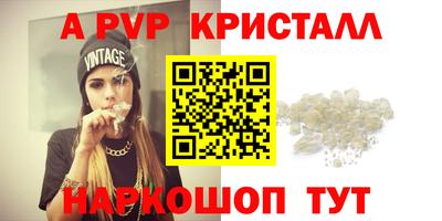 ECSTASY Новозыбков