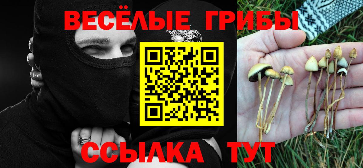 Татарск  Галлюциногенные грибы прущие грибы  Вход с VPN  цена   Галлюциногенные грибы Psilocybe 